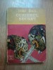 CURIERUL SECRET de IOAN DAN