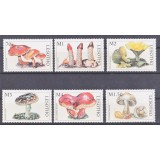 LESOTHO 1999 CIUPERCI