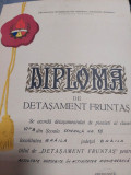 Diploma PIONIER-DIPLOMA DE DETASAMENT FRUNTAS-ORGANIZATIA PIONIERILOR RSR-1970