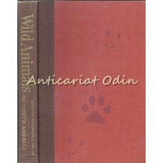 Wild Animals Of North America - A. Remington Kellogg