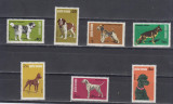 M1 TX3 2 - 1981 - Expozitia nationala canina, Caini, Nestampilat