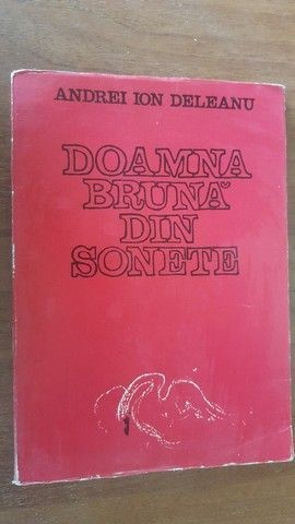 Doamna bruna din sonete- Andrei Ion Deleanu