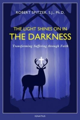 The Light Shines on in the Darkness: Transforming Suffering Through Faith foto