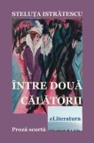 Cumpara ieftin Intre doua calatorii. Proza scurta/Steluta Istratescu