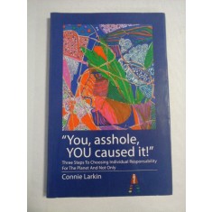&quot; You, asshole, YOU caused it! &quot; Three Steps To Choosing Individual Responsability For The Planet And Not Only - Connie Larkin