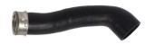 MTR 12170570 Furtun ear supraalimentare