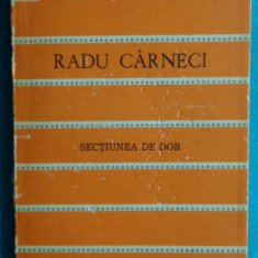 Radu Carneci – Sectiunea de dor ( Cele mai frumoase poezii Nr 179 )