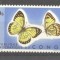 Congo 1971 Butterflies, MNH AE.201