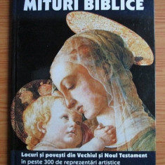 Mituri Biblice, volumul 4. Locuri si povesti din Vechiul si Noul Testament in peste 300 de reprezentari artistice