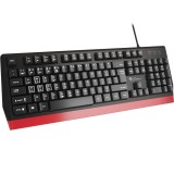 Tastatura Gaming Genesis Rhod 250, 104 Taste, Anti-Ghosting, USB, Negru