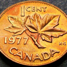 Moneda 1 CENT - CANADA, anul 1971 * cod 4564