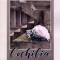 Cochilia - Gheorghe Schwartz