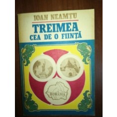 Treimea cea de o fiinta- Ioan Neamtu