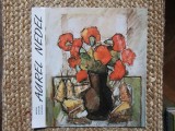 Pliant prezentare artist Aurel Nedel