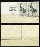 ROMANIA 1957 Flora Carpatina eroare rara timbru 10 bani cu vigneta nedantelata lateral MNH