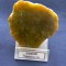 Specimen minerale - lizardit (CV3M)