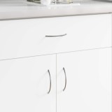 vidaXL M&Atilde;&cent;nere 2 pcs Argintiu 107 x 3.6 x 23 mm O&Aring;&pound;el inoxidabil 864689