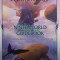 Numenera Ninth World Guidebook