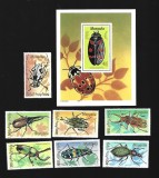 mongolia mnh