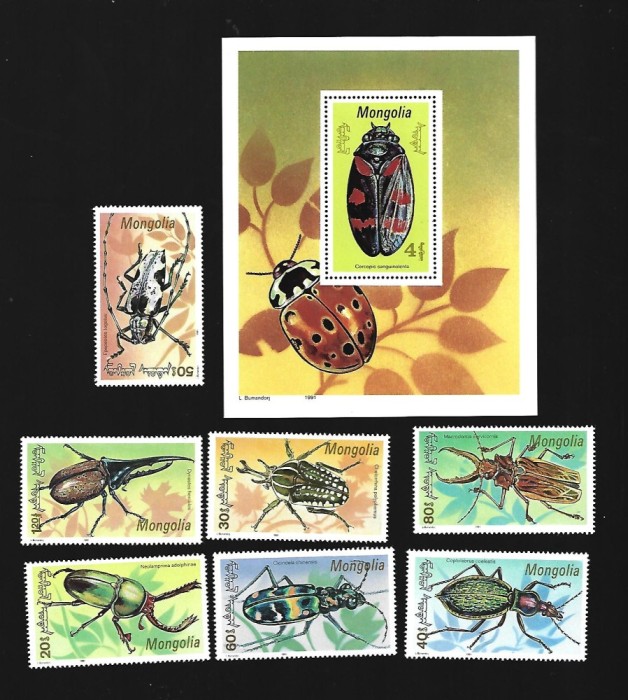 mongolia mnh