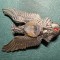 Insigna pilot militar Cl 2 1978 1989 RSR