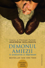 Demonul amiezii - Andrew Solomon foto