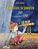 Baietelul si soriceii - Bookzone