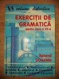 Exercitii de gramatica pentru clasa a 7-a - Roland Schenn