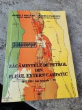 Pandele Neculae, Valeriu Stanescu - Zacamintele de petrol din Flisul extern carpatic