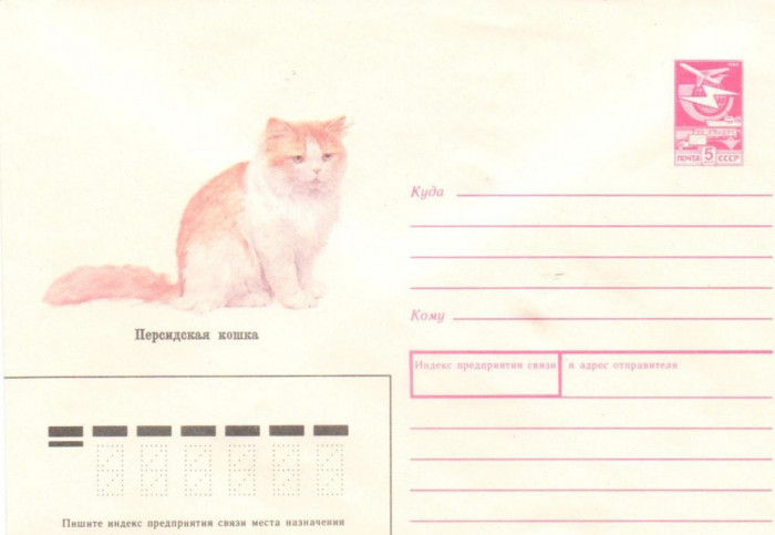 URSS 1989, Fauna, Pisica