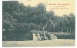 3563 - BOCSA MONTANA, Caras-Severin, Park, Romania - old postcard - unused