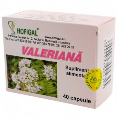 VALERIANA CT*40CPS HOFIGAL