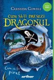 Cum să-ți dresezi dragonul #2. Cum să fii pirat - Cressida Cowell, Arthur