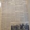 scanteia 24 septembrie 1954-art. timisoara,alba iulia,zimnicea,cluj,bucium iasi