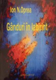 Ganduri in Labirint - Ion N. Oprea, Filosofie, Editura PIM, 2015, 258 Pagini, Carte in Romana
