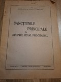 Sancțiunile principale &icirc;n dreptul penal procedural - Ionescu D. Ghon - Calvini