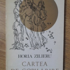 CARTEA DE COPILARIE. BALADE PRINCEPS-HORIA ZILIERU