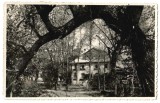 SV * Baia Mare - SCOALA DE PICTURA - foto 1936