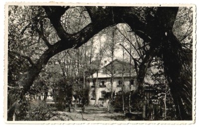 SV * Baia Mare - SCOALA DE PICTURA - foto 1936 foto
