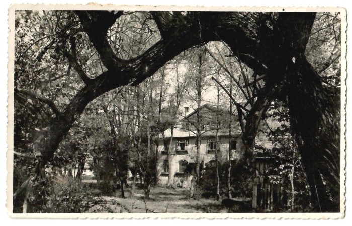 SV * Baia Mare - SCOALA DE PICTURA - foto 1936