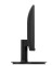 icon 5