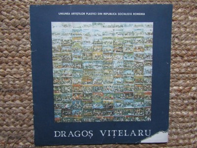 CATALOG DE EXPOZITIE DRAGOS VITELARU 1987 foto