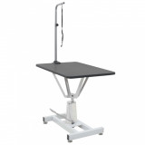 Cumpara ieftin Masă hidraulică baie toaletare c&acirc;ini, pivotantă, reglabilă