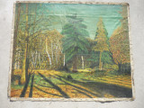 TABLOU PE PANZA , FARA SASIU (R 89/73 cm.), Peisaje, Ulei, Altul