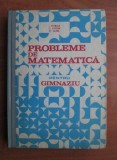 Probleme de matematica pentru gimnaziu - Ion Petrica/ Stefan Alexe/ Cornel Stefan