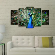 Tablou MDF ( 5 buc ) Paun Deschis, Multicolor, 60x110 cm