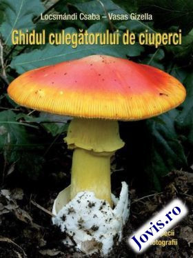 Ghidul culegătorului de ciuperci foto