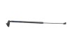 Amortizor haion st&acirc;nga MAZDA 3 BM 2016 OEM: BHN9-63620A 17405420