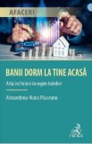 Banii dorm la tine acasa. Arta inchirierii in regim hotelier - Alexandrina Maria Pauceanu