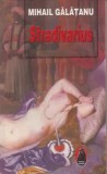 Stradivarius/Mihail Galatanu